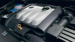 Czy warto przepłacać - Volkswagen Golf V (2003-2008)