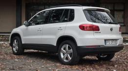 VW Tiguan - pogromca miejskiej dżungli
