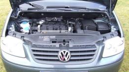 Volkswagen Caddy Maxi Life - dwa w jednym