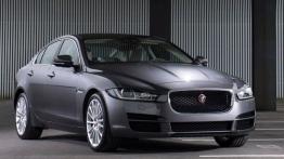 Jaguar XE 2.0d Ammonite Grey (2015) - widok z przodu
