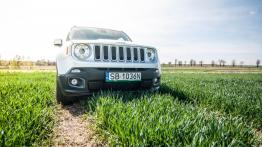 Jeep Renegade 1.4 MultiAir 140KM - galeria redakcyjna - widok z przodu