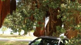 Audi Q5 w Nowej Zelandii - część 5 - galeria redakcyjna - inne zdjęcie