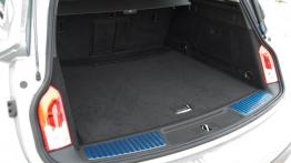 Opel Insignia Country Tourer 2.0 - galeria redakcyjna - bagażnik