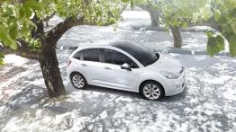 Citroen C3 II Facelifting (2013) - widok z góry