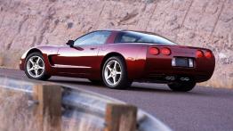 Chevrolet Corvette C5 - widok z tyłu