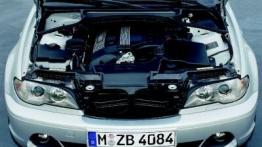 BMW Seria 3 Cabrio - silnik