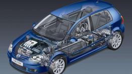 Czy warto przepłacać - Volkswagen Golf V (2003-2008)