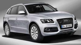 Przegląd rynku hybryd i samochodów elektrycznych