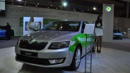 Poznań Motor Show 2013 - relacja z targów