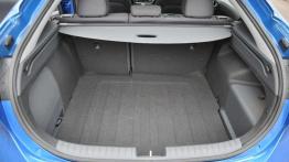 Hyundai Ioniq Hybrid – galeria redakcyjna