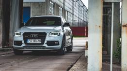 Audi SQ5 - galeria redakcyjna