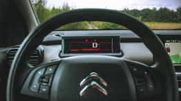 Citroen C4 Cactus Rip Curl - galeria redakcyjna