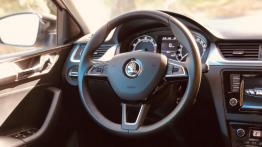 Skoda Rapid Spaceback 1.0 TSI 95 KM - galeria redakcyjna - kierownica