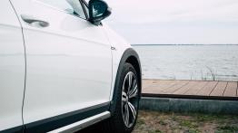 Volkswagen Golf Alltrack 2.0 TDI 184 KM - galeria redakcyjna (2)