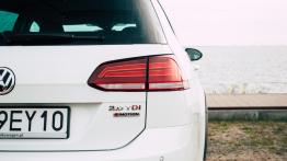 Volkswagen Golf Alltrack 2.0 TDI 184 KM - galeria redakcyjna (2) - widok z tyłu