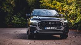 Audi Q8 50 TDI 286 KM - galeria redakcyjna (2) - widok z przodu