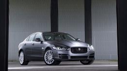 Jaguar XE 2.0d Ammonite Grey (2015) - widok z przodu