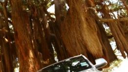 Audi Q5 w Nowej Zelandii - część 5 - galeria redakcyjna - inne zdjęcie