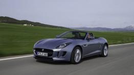 Jaguar F-Type V6 Satellite Grey - lewy bok