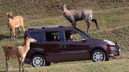 Fiat Doblo 2010 - prawy bok