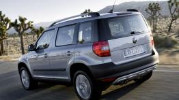 Skoda Yeti 2009 - widok z tyłu