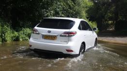 Lexus RX 450h F Sport - widok z tyłu