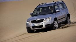 Skoda Yeti 2011 - widok z przodu