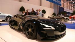 Essen Motor Show 2011