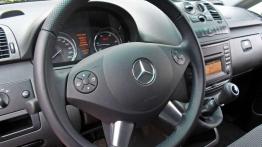Mercedes-Benz Vito 110 CDI BlueEfficiency - dobry pracownik?