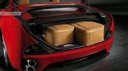 Ferrari California - auto dedykowane dla USA