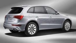 Przegląd rynku hybryd i samochodów elektrycznych