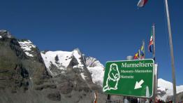 Wakacje z hybrydą - Toyota Auris