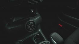 Citroen C4 Cactus Rip Curl - galeria redakcyjna