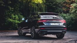 Audi Q8 50 TDI 286 KM - galeria redakcyjna (2) - widok z tyłu