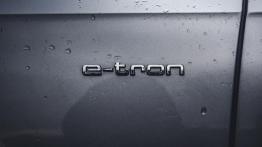 Audi Q7 e-tron - galeria redakcyjna