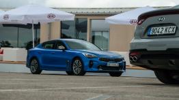 Kia Stinger – galeria redakcyjna