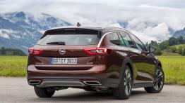 Opel Insignia Country Tourer (2017) - widok z tyłu