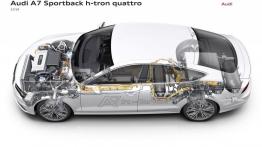 Audi A7 Sportback h-tron quattro Concept (2014) - schemat konstrukcyjny auta