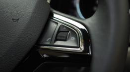 Skoda Yeti Outdoor 2.0 TDI 170KM - galeria redakcyjna - sterowanie w kierownicy