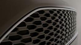 Ford Vignale Mondeo Sedan (2015) - grill
