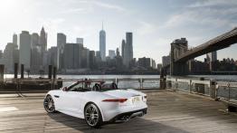 Jaguar F-Type AWD R Roadster (2016) - widok z tyłu