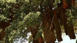 Audi Q5 w Nowej Zelandii - część 5 - galeria redakcyjna - inne zdjęcie