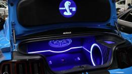 Tuning Show 2013 w Krakowie