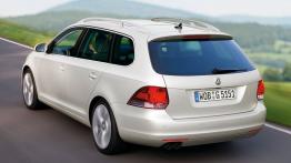 Volkswagen Golf VI Kombi - widok z tyłu