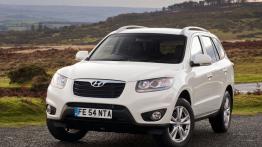 Hyundai Santa Fe 2010 - widok z przodu