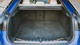 BMW X6 M50i – barok na kołach