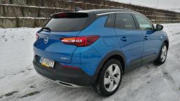 Opel Grandland X 2.0 CDTI 177 KM - galeria redakcyjna