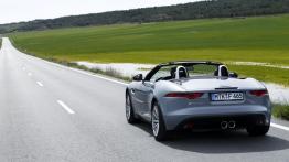 Jaguar F-Type V6 Satellite Grey - widok z tyłu