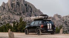Mini Countryman ALL4 Camp (2013) - widok z tyłu