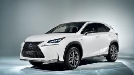 Lexus NX 300h (2014) - lewy bok